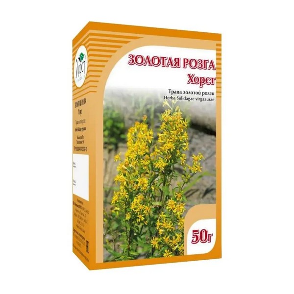 Золотая розга (золотарник обыкновенный)