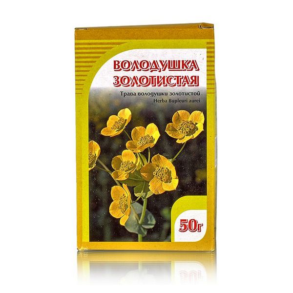 Володушка золотистая