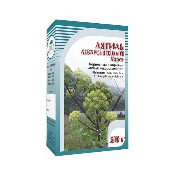 Дягиль корневища с корнями