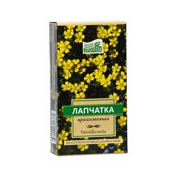 Лапчатка прямостоячая