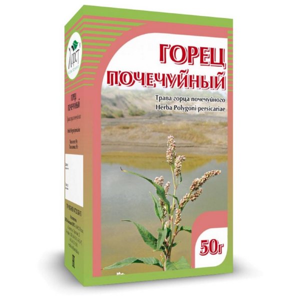 Горец почечуйный трава