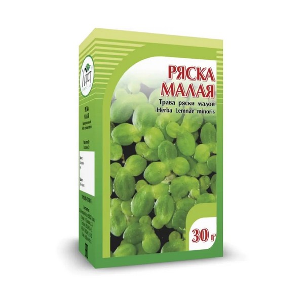 Ряска малая трава