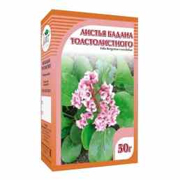 Бадана лист