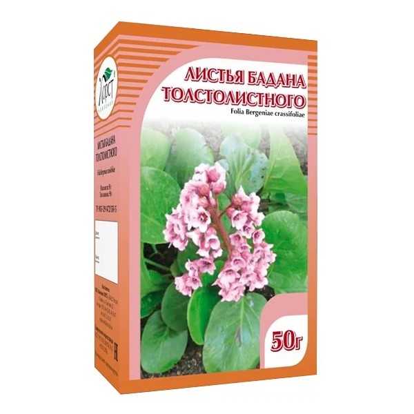 Бадана лист