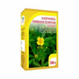 Лапчатка прямостоячая (калган)