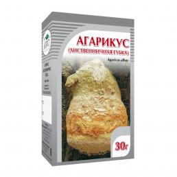 Агарикус (лиственничная губка)