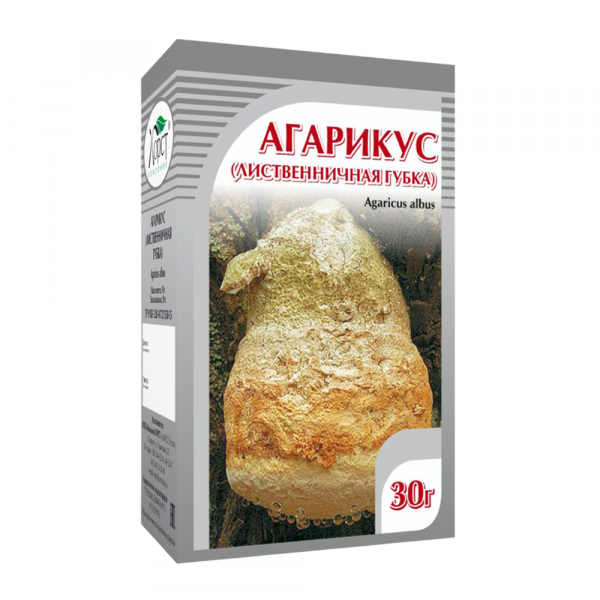 Агарикус (лиственничная губка)