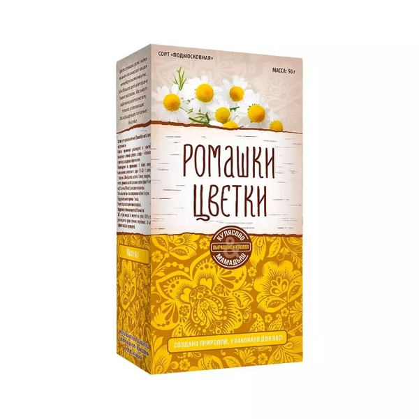 Ромашки цветки сорт подмосковная