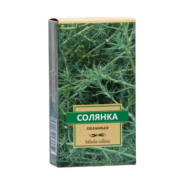 Солянка холмовая чай