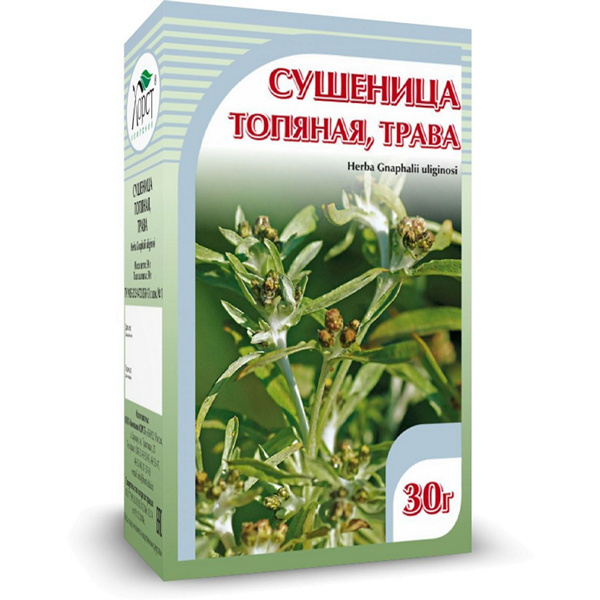 Сушеницы топяной трава