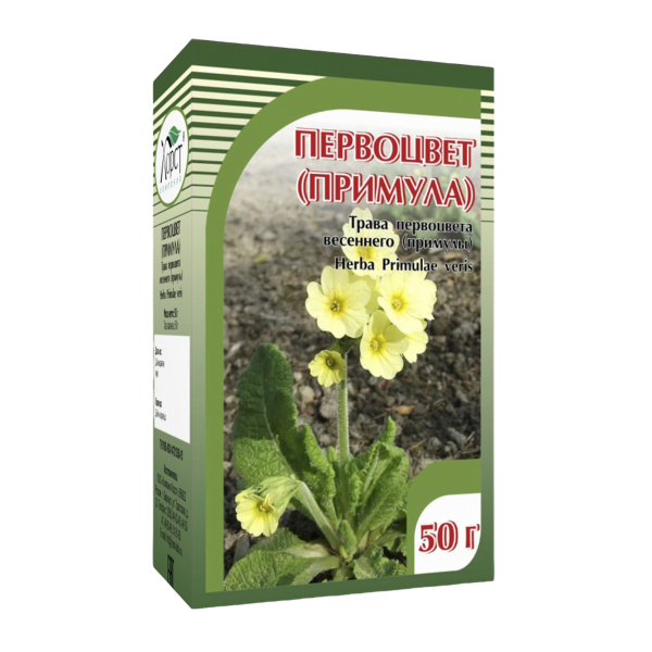 Первоцвет (примула) трава