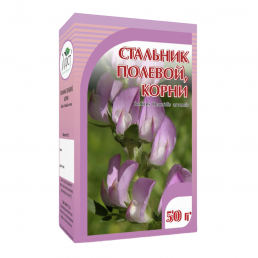 Стальник полевой корень