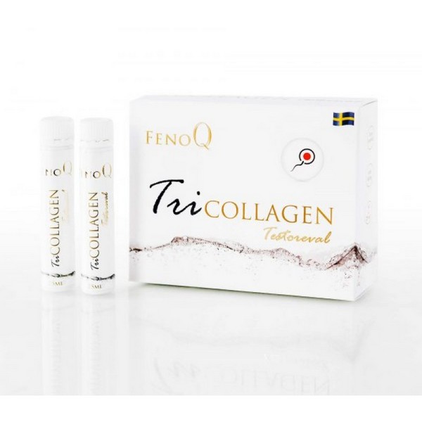 Фенок тесторевал