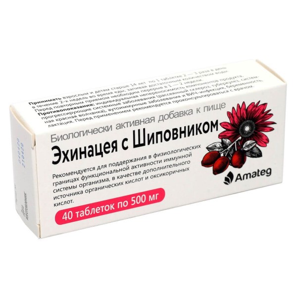 Эхинацея с шиповником