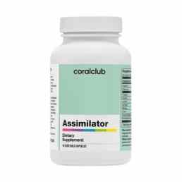 Ассимилятор