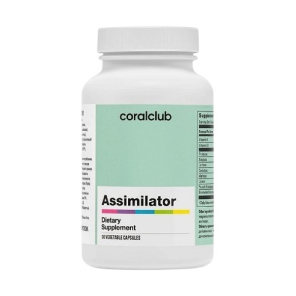 Ассимилятор