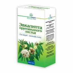 Эвкалипта листья