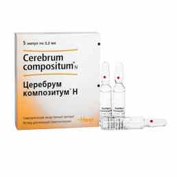 Церебрум композитум н