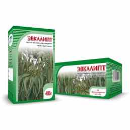 Эвкалипт