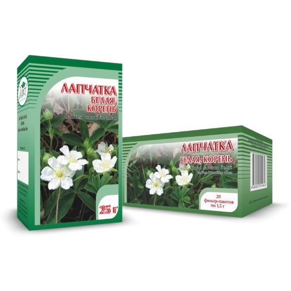 Лапчатки корневища