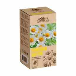 Ромашки цветки сорт подмосковная