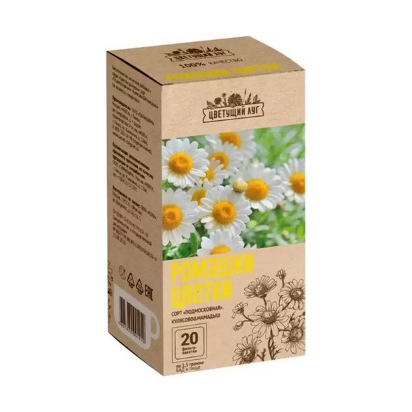 Ромашки цветки сорт подмосковная
