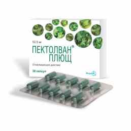 Пектолван плющ