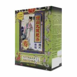 Летящая ласточка