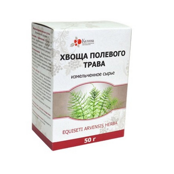 Хвоща полевого трава