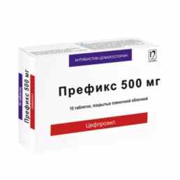 Префикс