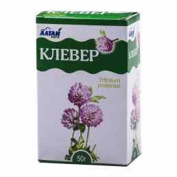 Клевер луговой