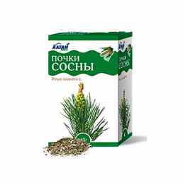 Сосны почки