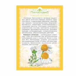 Ромашки аптечной цветки