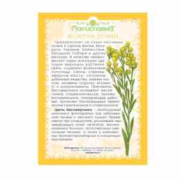 Бессмертника песчаного цветки