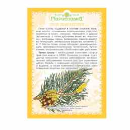 Сосны почки