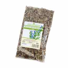 Иссоп лекарственный