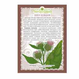 Лопуха корень