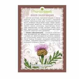 Левзея сафлоровидная (маралий корень)