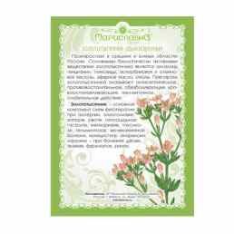 Золототысячника трава