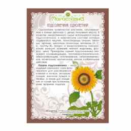 Подсолнух (подсолнечник) корень