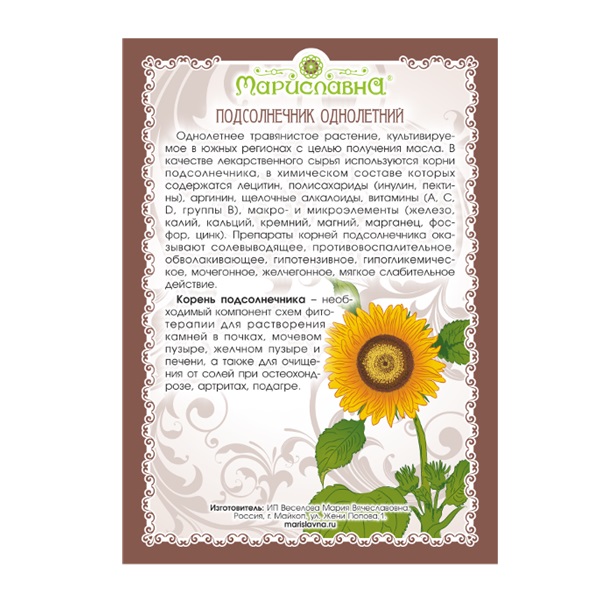 Подсолнух (подсолнечник) корень