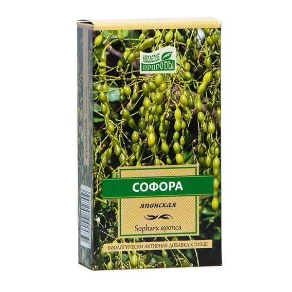 Софора японская