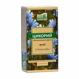 Цикория корень