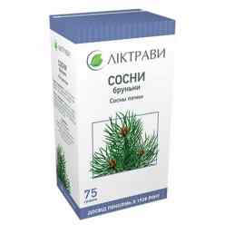 Сосны почки