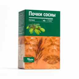 Сосны почки