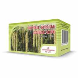 Березовые почки