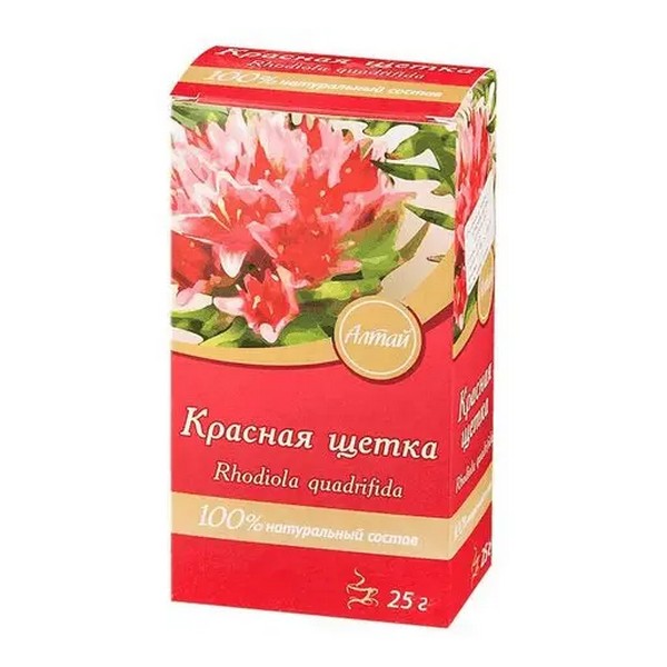 Красная щетка (родиола четырёхчленная) фито-алтай