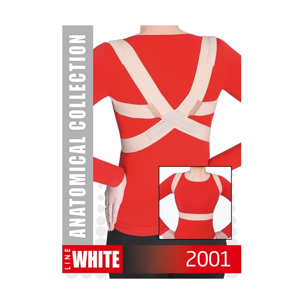 МЕК корректор осанки модель 2001