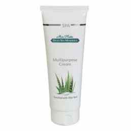 DSM многофункциональный