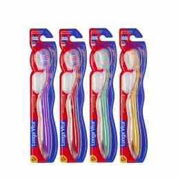 Longa vita Duo (K239)